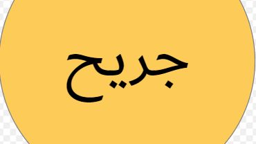 إطلاق نار داخل مخيم عين الحلوة